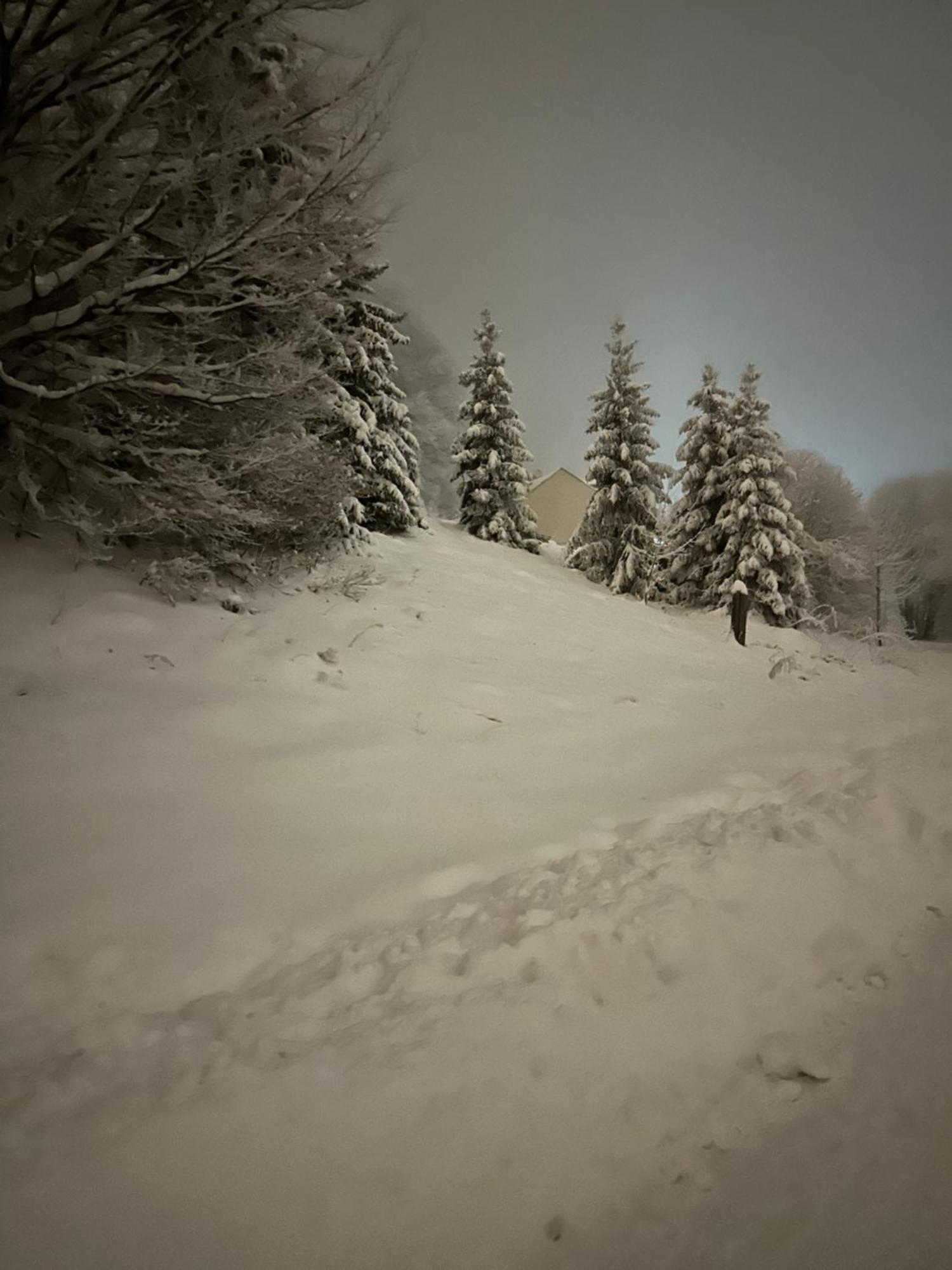 Apartmán FOREST VIEW Donovaly Esterno foto