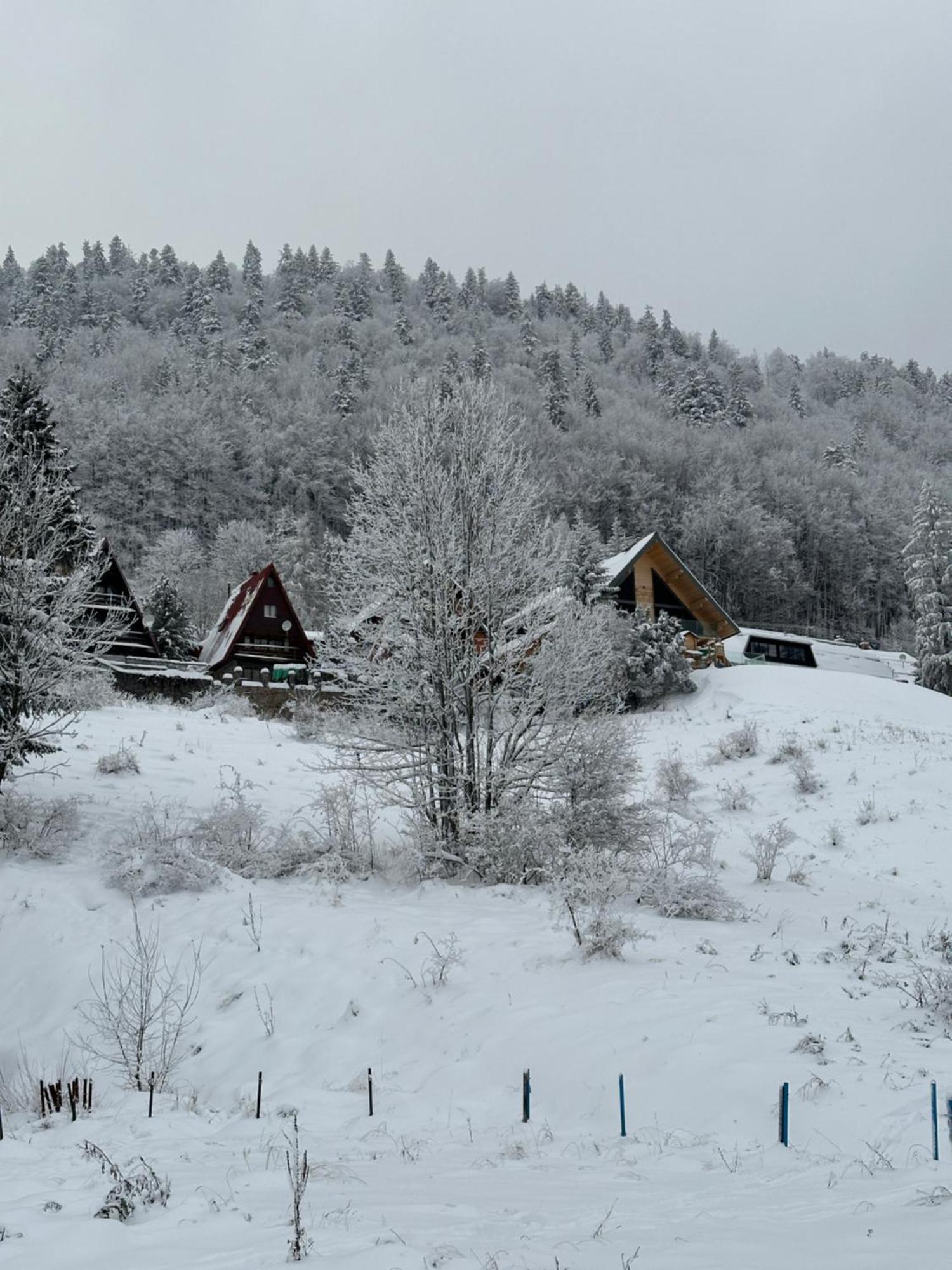 Apartmán FOREST VIEW Donovaly Esterno foto